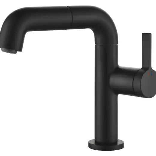 B007 black basin faucet