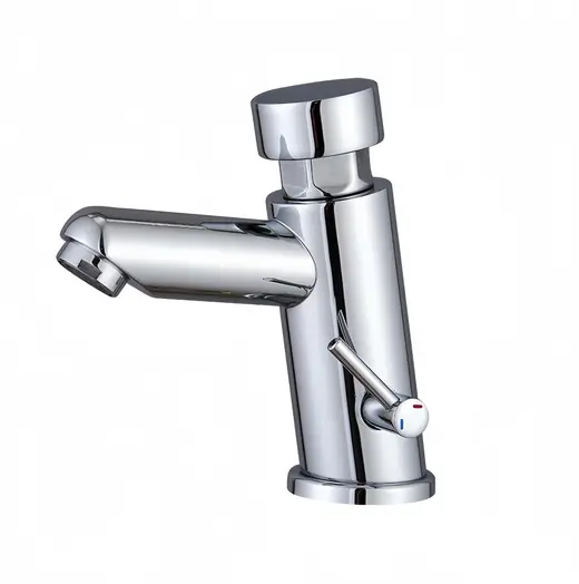 T005 basin time-delay faucet